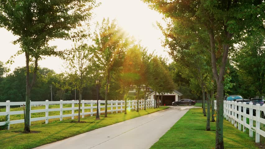 Countryside scene featuring a long, tree-lined driveway flanked by white fences, leading to a distant house, bathed in warm golden hour sunlight.