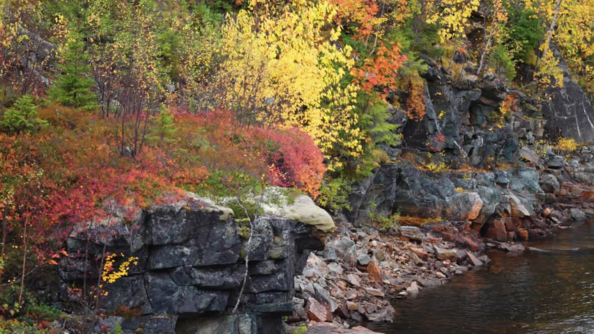 A scenic autumn view of a creek flowing alongside rocky cliffs adorned with vibrant fall foliage. Parallax shot, bokeh background.