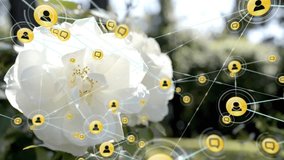 Animation of network of connections with people icons over flowers. Global connections, computing and data processing concept digitally generated video. - Powered by Shutterstock - Get 15% off with code: PIKWIZARD15