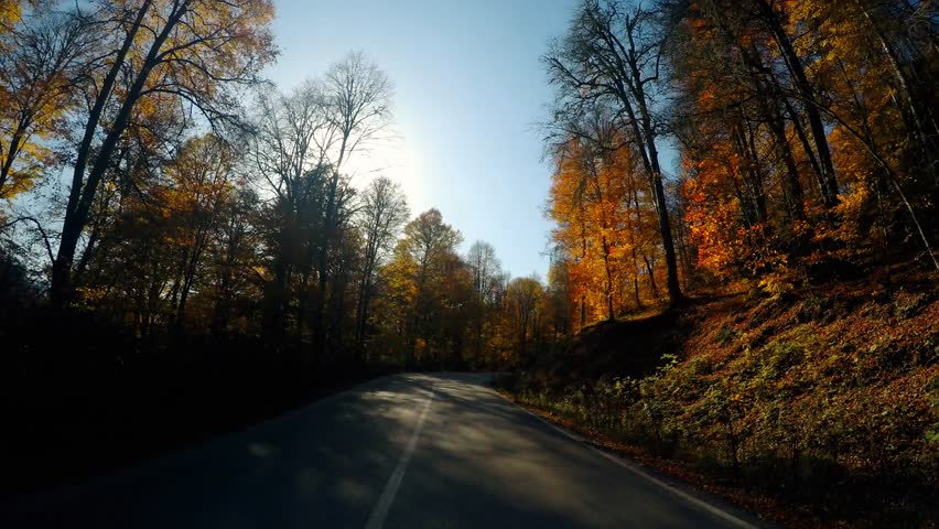 POV. Driving up empty road during Autumn at Yedigoller National Park. Fall foliage Point of view steering on asphalt in Bolu, Turkey. Travel and transportation concept. Beautiful scenic of Fall trees
