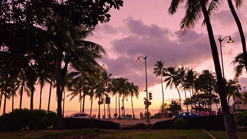 Palm Trees Against Vibrant Waikiki Hawaii Sunset Sky, travel tropical vacation