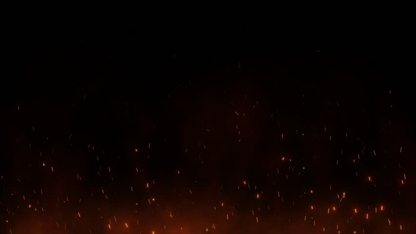 A variety of organic VFX