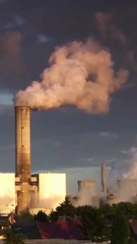 Shutterstock Video