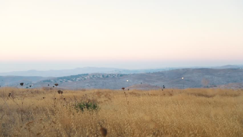 A Jew prays in a field at sunrise