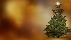 twinkling fairy lights in an isolated christmas tree on golden 3d backdrop, beautiful abstract holiday background animation with space for text or product display - Powered by Shutterstock - Get 15% off with code: PIKWIZARD15