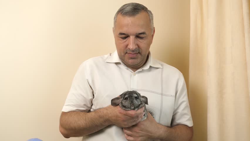 People care for and play with chinchillas.
