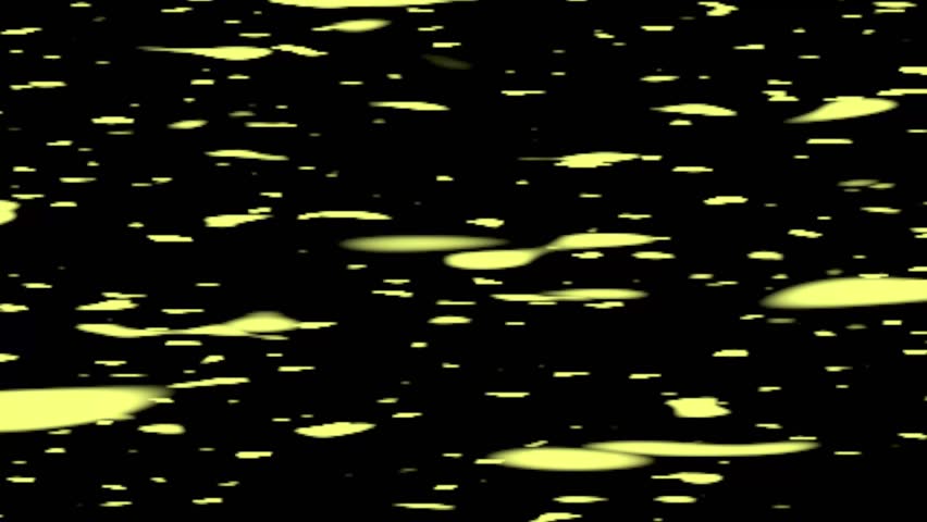 Shutterstock Video