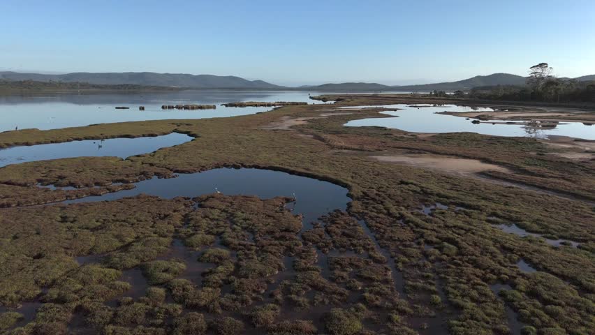 Low flying aerial view over the wetlands of the Moulting Lagoon Game Reserve in Coles Bay, Tasmania.