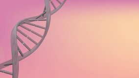 DNA strand animation over gradient pink and orange background. Genetics, biotechnology, molecular, biology, science, DNA sequencing - Powered by Shutterstock - Get 15% off with code: PIKWIZARD15
