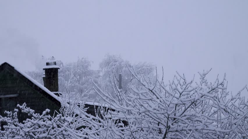 Russian winter in northern olden time hamlet. Snowfall. Smoke goes up the chimney. Frozen hoodies are sitting on frost-covered trees. Smoke covers birds from time to time. Provincial spirit