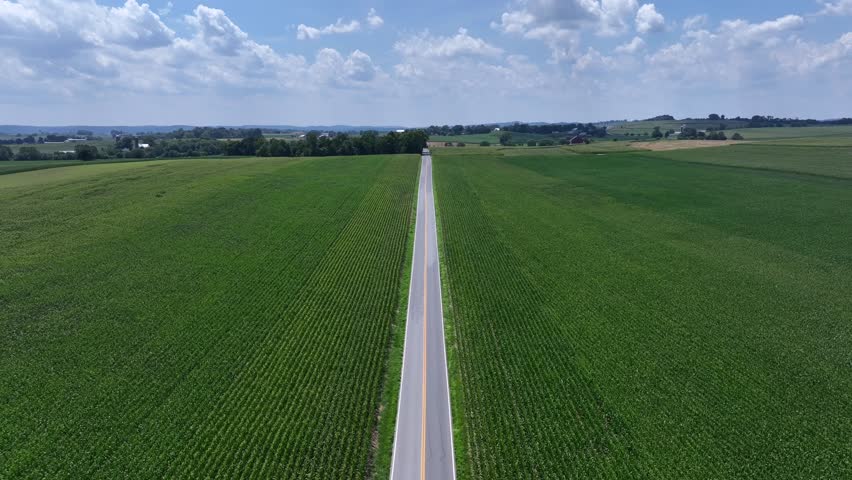 A long straight road cuts through expansive green farmland in USA. Rows of crops extend into the distance with distant farmhouses. Aerial during daylight. Corn fields in rural America.