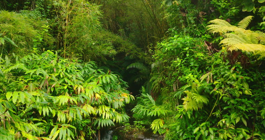 Rainbow Falls on the Big Island of Hawaii