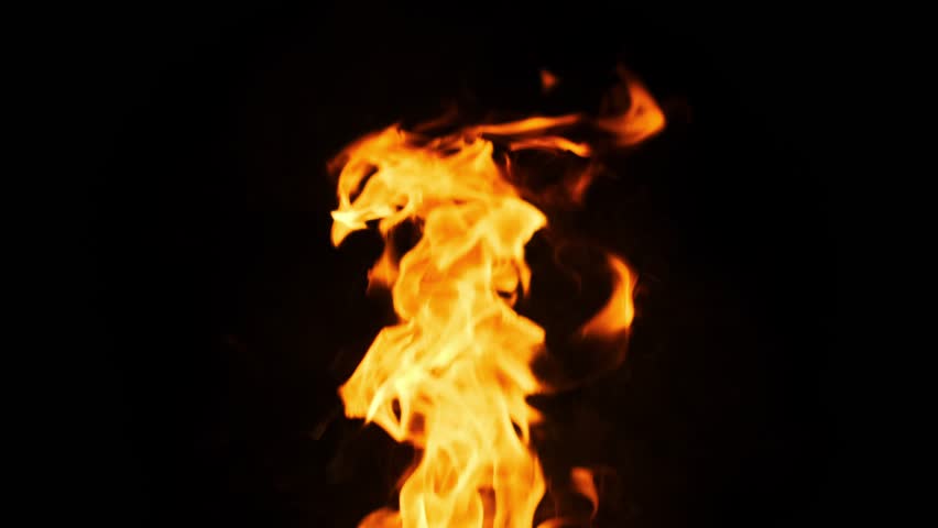 Dynamic flames dance and flicker on a black background, creating a captivating visual of energy and movement.
