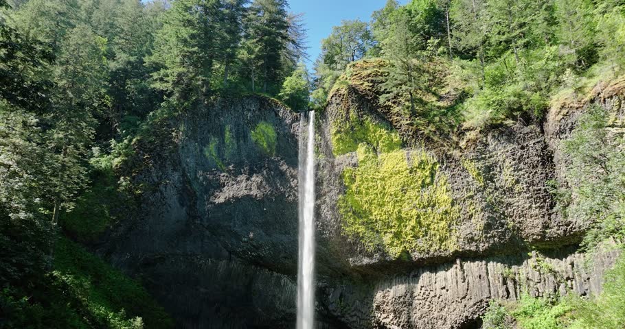 Nature
