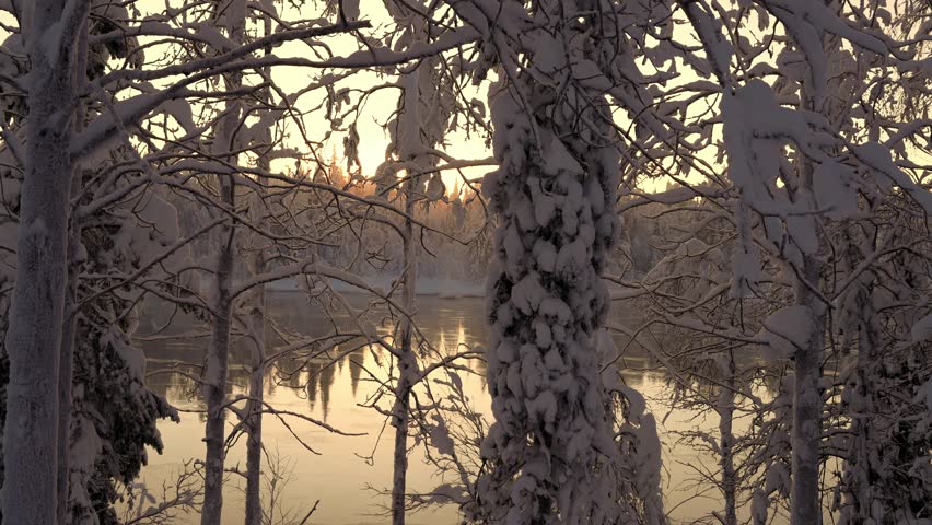 The sun begins to rise, casting a warm glow over a frozen lake bordered by tall, snow-laden trees. The peaceful northern wilderness creates a stunning winter atmosphere.	