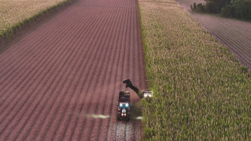 night sugar cane harvest harvesting, tractor harvester with lights on field, aerial drone, agriculture agricultural farm farming work, Queensland Australia