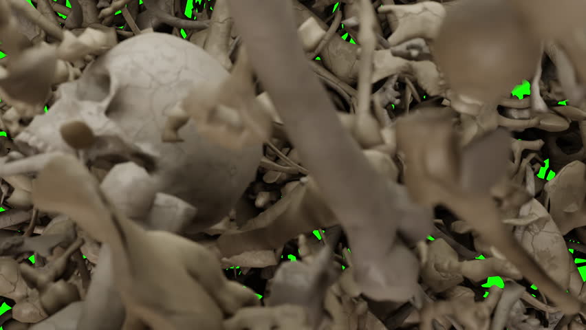 Halloween Transition, Skeleton On Green Screen 3D Rendering