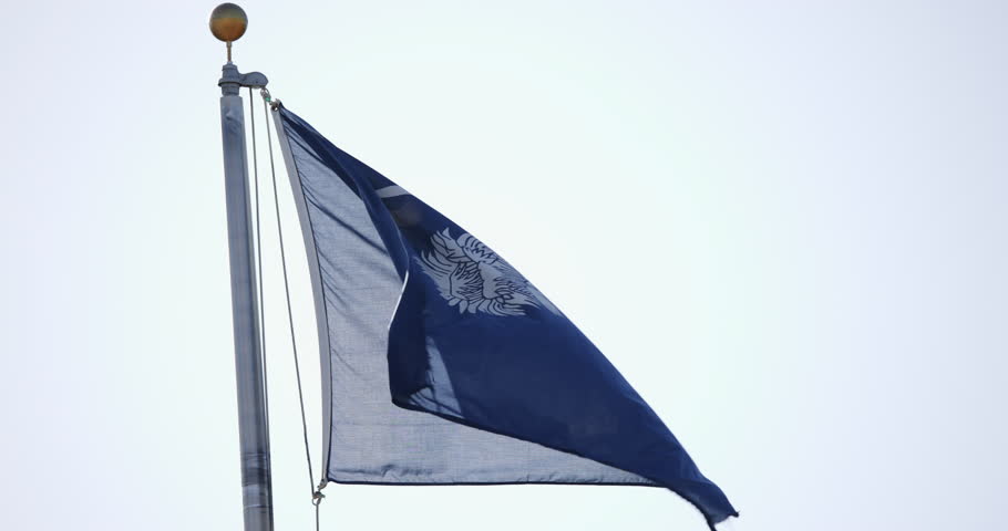 This is a video of the South Carolina State Flag Blowing in the wind in slow motion.