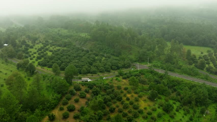 DRONE SHOT OF AVOCADO FIELDS AND LADSCAPE PAN SHOT ON A CLOUDY MISTY DAY