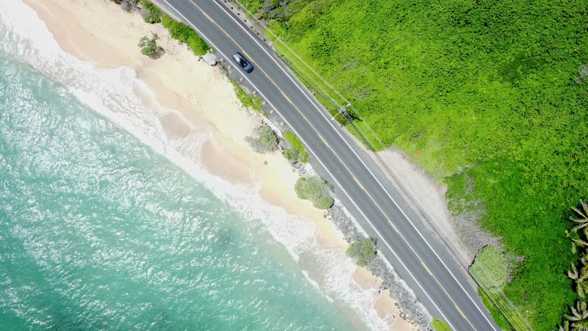 An aerial drone captures a bird