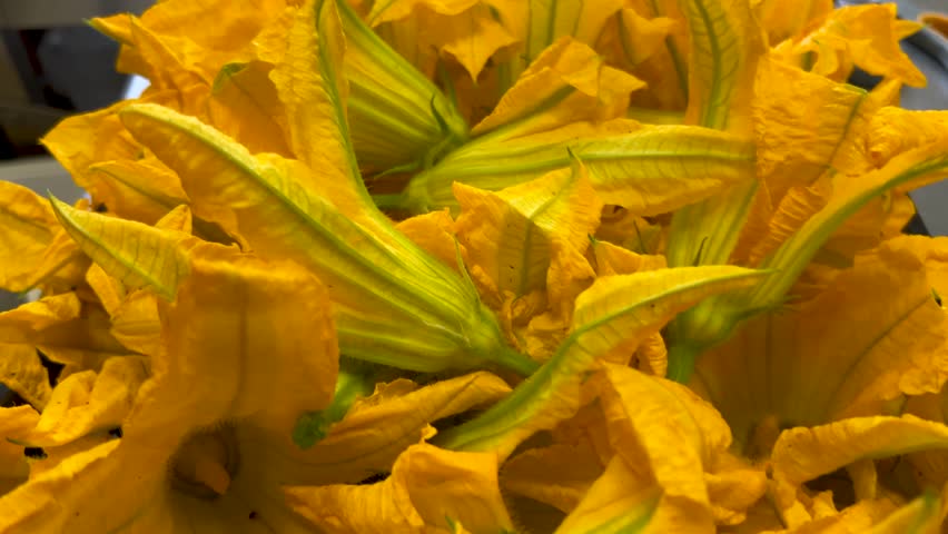 Squash flowers in crate, tracking shot of yellow zucchini blossoms, close up in top view 