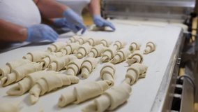 Close-up of two workers hands in blue gloves rolling croissants from cut triangular dough pieces on a white conveyor belt in an industrial bakery. Efficient food production process of pastries. - Powered by Shutterstock - Get 15% off with code: PIKWIZARD15