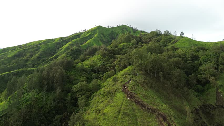 Hikers trekking along a lush, green mountain ridge on a cloudy day