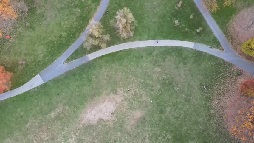 Aerial top down of colorful trees in Prospect Park Brooklyn during fall in New York City USA