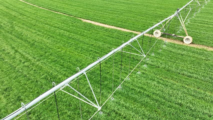 Aerial shot of the sprinklers watering the crops on a circular farm in the Owens Valley in California