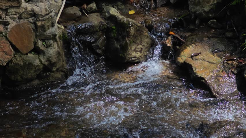 nature water fall in forest
