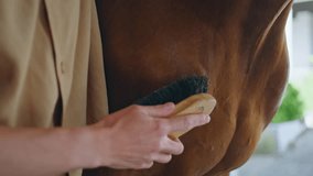 Horsewoman hand brushing equine in light paddock closeup. Brown animal standing at barn petted by loving woman hands. Horse enjoy grooming moment feeling affection indoors. Animals and people concept - Powered by Shutterstock - Get 15% off with code: PIKWIZARD15