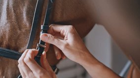 Horsewoman hands fastening bridle on equine at paddock closeup. Unrecognizable lady preparing brown horse to race at barn. Unknown woman holding leather equipment helping animal with fingers gently - Powered by Shutterstock - Get 15% off with code: PIKWIZARD15