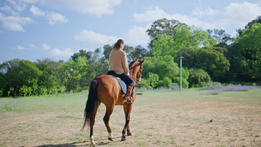 Jockey lady riding horse in green park back view. Relaxed woman sitting at adorable brown animal enjoying peaceful nature. Calm pet stepping on grassy meadow with affectionate female owner at summer