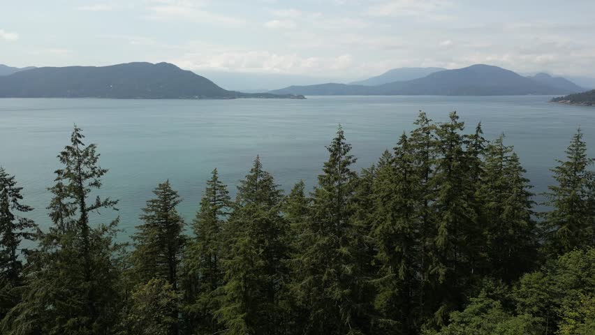 Beautiful drone footage of the Pacific Ocean with islands and mountains in the background. Shot through the tops of lush green pine trees. British Columbia, Canada.