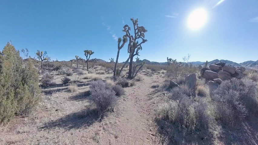 Approaching Another Intersection in Joshua Tree National Park