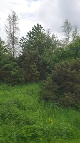 Roads street views traffic Ireland