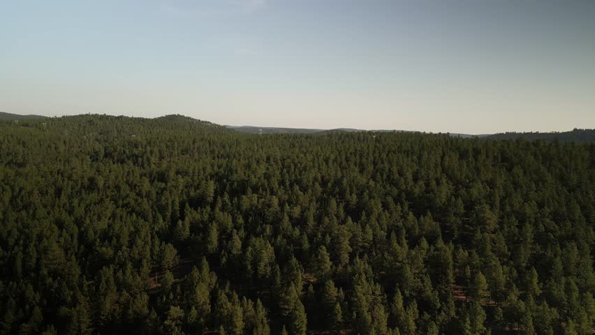 Aerial of Black Hills national forest in summer in rolling hills near Rapid City South Dakota