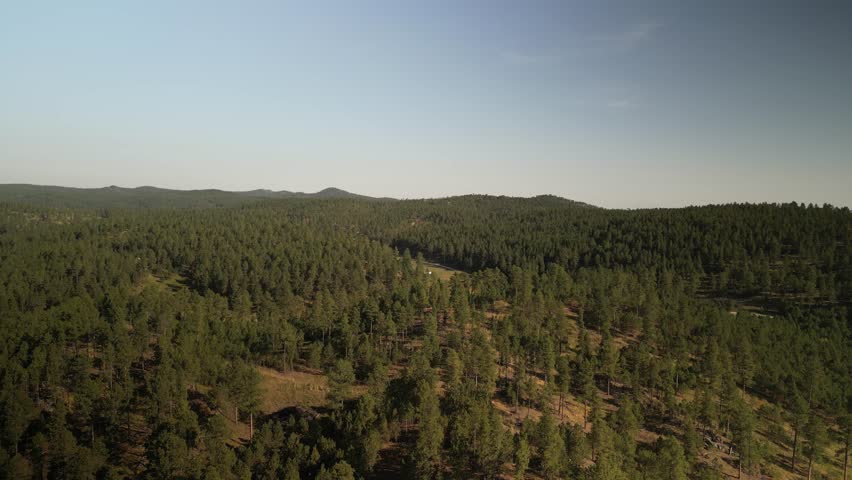 Aerial of camping in meadow in Black Hills National Forest South Dakota in summer