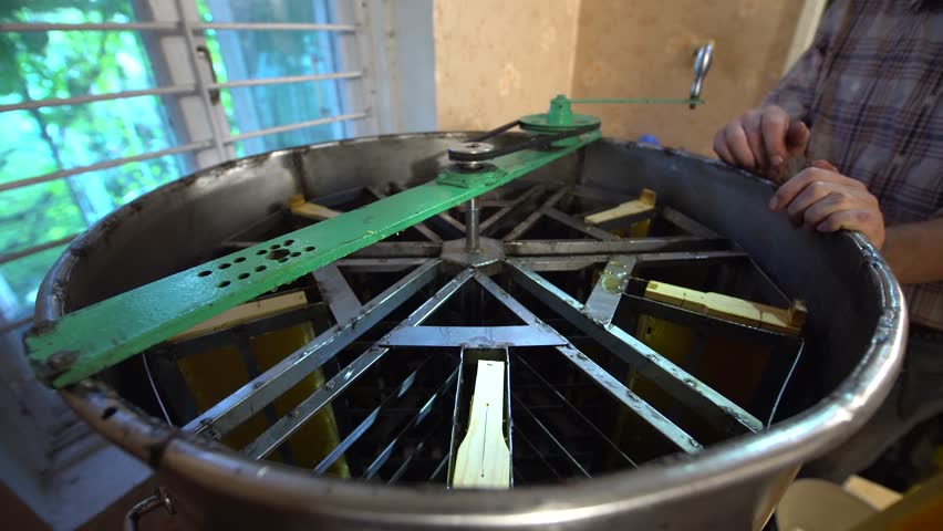 Beekeeper turns the handle of a honey extractor with honeycomb frames filled with honey.