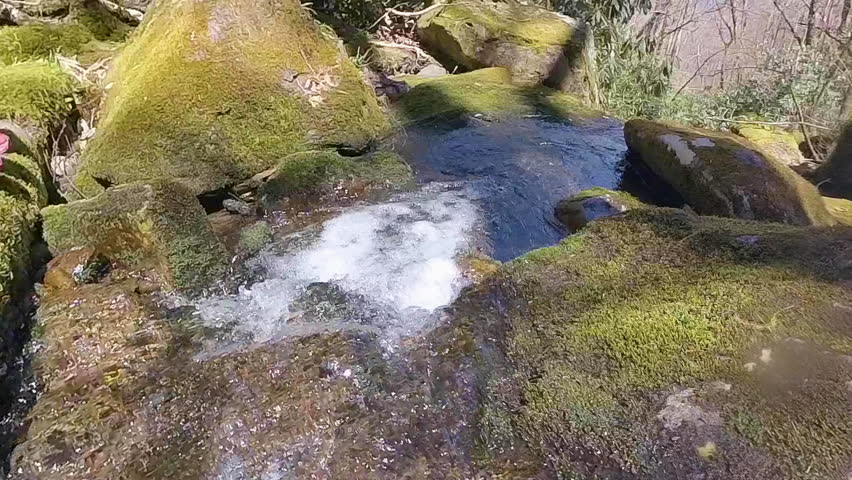 Looking Down Over Rushing Water in Creek in the Smokies in Spring