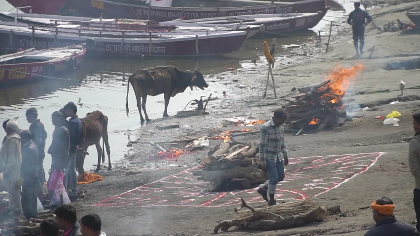 Varanasi, India – June 25th 2019: Hindu sacred death rituals with traditional ceremonial cremation pyres at Manikarnika Ghat. Prepared cremation pyre