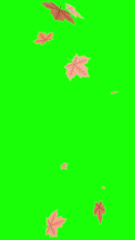 Fall autumn leaves animation - Vertical video on green screen