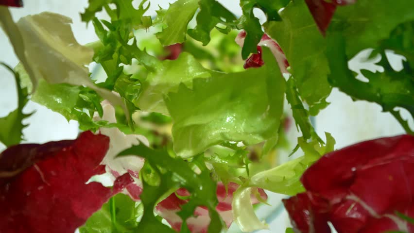 Super Slow Motion Shot of Fresh Mixed Salad Cuts Following by Camera Falling into Bowl at 1000fps.