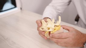 Anatomical Demonstration, Model Handling, Medical Demonstration. During detailed medical explanation, doctor adjusts anatomical model spine. - Powered by Shutterstock - Get 15% off with code: PIKWIZARD15