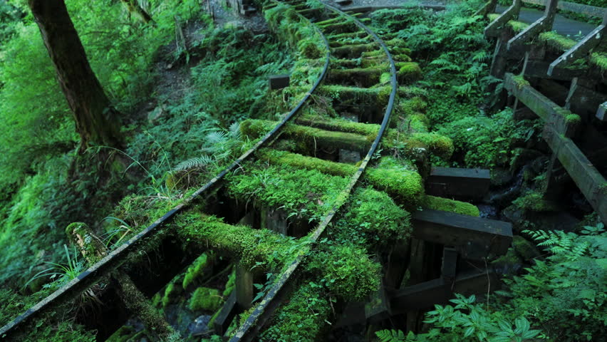 Train tracks in Jancing Historic Trail,Taiwan.