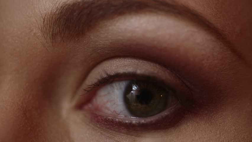 Makeup artist applying eyeshadow for beauty makeup model. Closeup eyes eyeshadow. Beautiful young woman with fashion eyeshadow. Cosmetic. Perfect eyeshadow and beauty makeup.