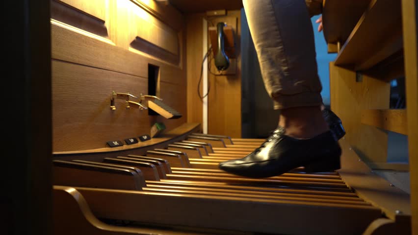 Organist