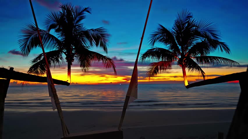 Tropical beach with scenery palm tree on background ocean and colorful sunset. Summer vacation in tropical paradise concept 4K