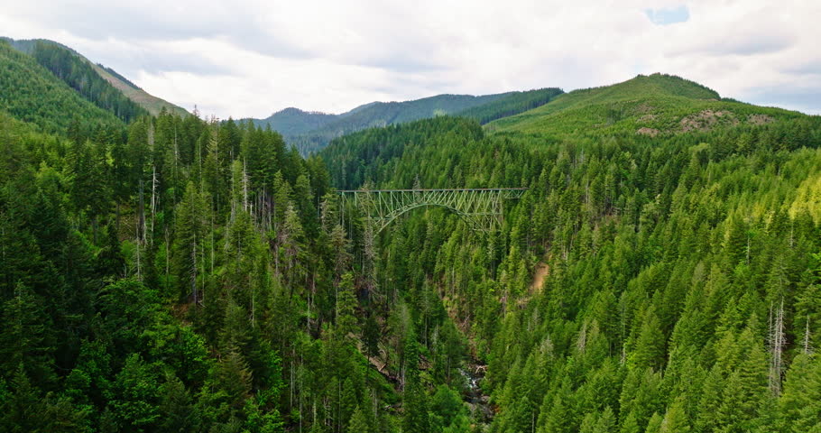 Vance Creek Abandoned Bridge in Washington 