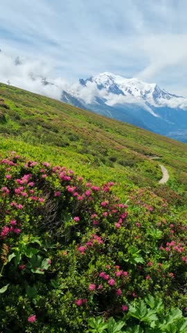 A beautiful panorama of the French Alps, a view of Mont Blanc mountain and the glacier during the Tour du Mont Blanc hike.  Chamonix-Mont-Blanc.
